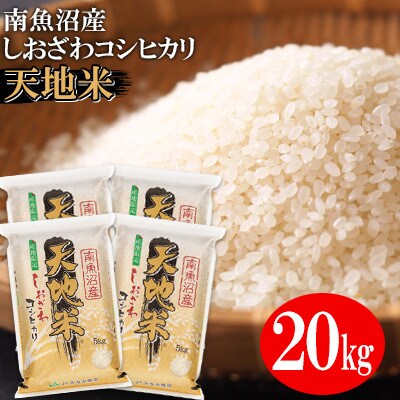 【2023年5月中旬発送】【令和4年産】JAみなみ魚沼　南魚沼産コシヒカリ『天地米』精米20kg