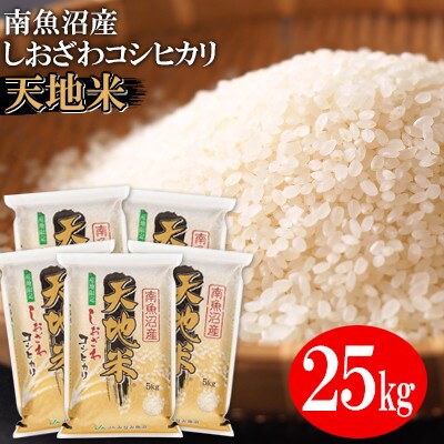 【2023年2月下旬発送】【令和4年産】JAみなみ魚沼　南魚沼産コシヒカリ『天地米』精米25kg