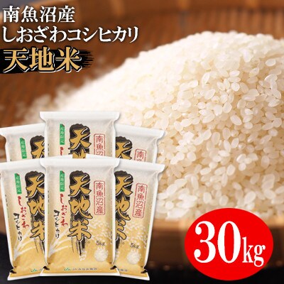 令和4年産】JAみなみ魚沼 南魚沼産コシヒカリ『天地米』精米30kg | お