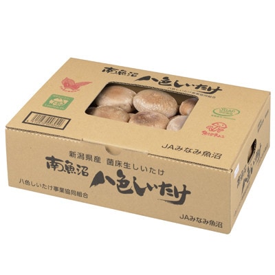 厚いにもほどがある　八色しいたけ1kg