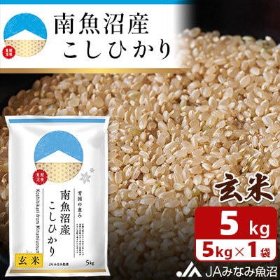 【令和6年産】JAみなみ魚沼不動の人気「南魚沼産こしひかり」玄米 5kg