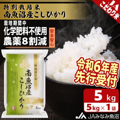 【令和6年産先行受付】JAみなみ魚沼「特別栽培米南魚沼産こしひかり8割減」精米5kg