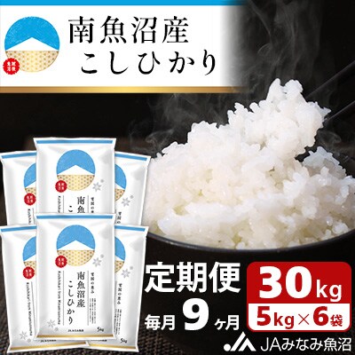 【毎月定期便】南魚沼産こしひかり 精米 30kg(5kg×6袋) 全9回