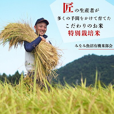 【毎月定期便】特別栽培米南魚沼産こしひかり8割減 精米 10kg(5kg×2)全3回