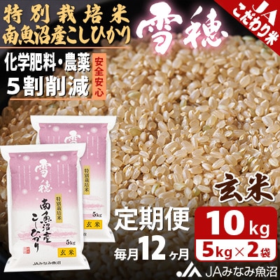 【毎月定期便】特別栽培米南魚沼産こしひかり「雪穂」 玄米 10kg(5kg×2袋) 全12回
