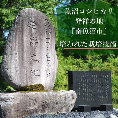 【毎月定期便】＼美味しさ長持ち窒素充填パック/ 南魚沼産こしひかり 精米 小袋300g×30袋全9回