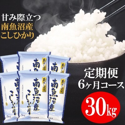 2023年4月発送開始『定期便』「蔵出し直送」南魚沼産こしひかり精米30kg(5kg×6袋)全6回