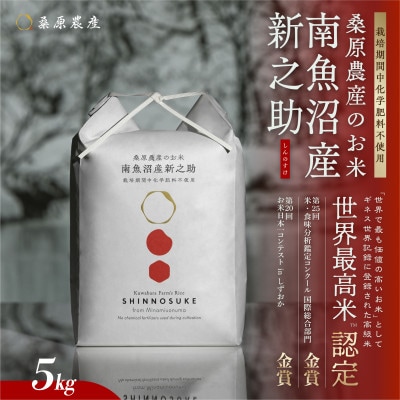R7年産　予約　ギネス世界記録「世界最高米」認定 最高級南魚沼産新之助5kg 桑原農産のお米