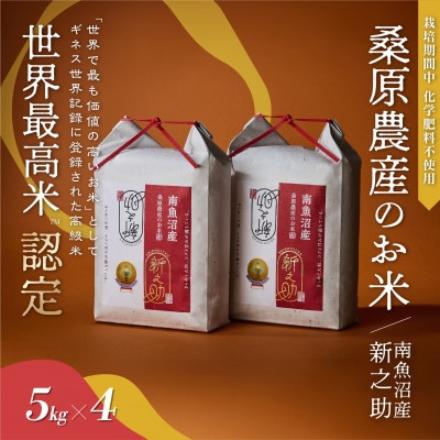 R7年産　新米予約　ギネス世界記録「世界最高米」認定 最高級南魚沼産新之助5kg×4 桑原農産のお米