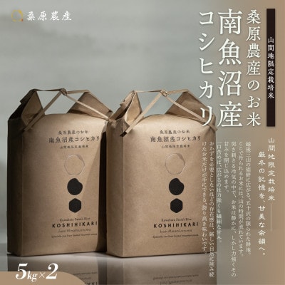 令和7年産　予約　日本のお米の最高峰 南魚沼産こしひかり5kg×2 山間地限定米 桑原農産のお米