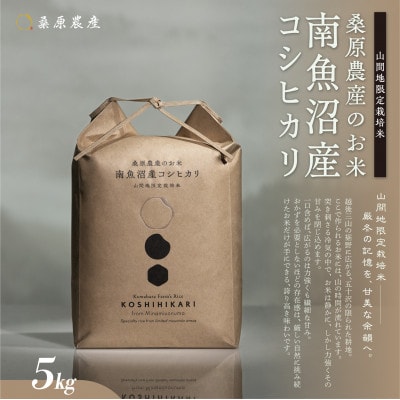 令和7年産　予約　日本のお米の最高峰 南魚沼産こしひかり5kg 山間地限定米 桑原農産のお米 | ふるさと納税のお礼品