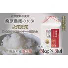 【毎月定期便】桑原農産のお米　新之助5kg 全3回