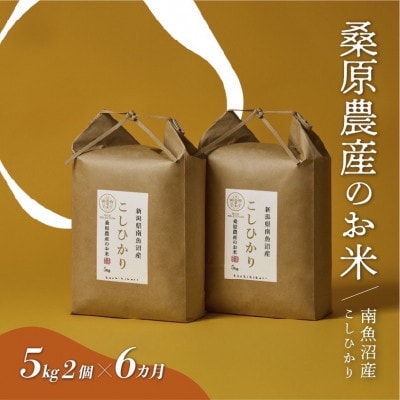 【発送月固定定期便】桑原農産のお米 山間地限定米 南魚沼産こしひかり[5kg×2袋]全6回