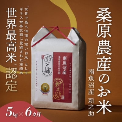 【発送月固定定期便】ギネス世界記録「世界最高米」最高級南魚沼産新之助5kg (精米)全6回
