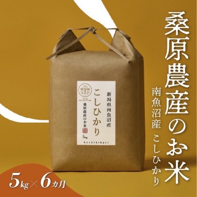 【毎月定期便】桑原農産 山間地限定米 南魚沼産こしひかり5kg全6回