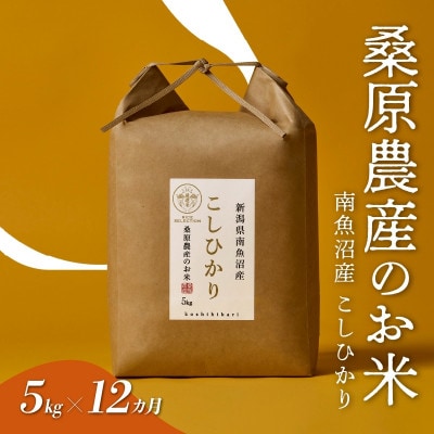 【毎月定期便】桑原農産 山間地限定米 南魚沼産こしひかり5kg全12回