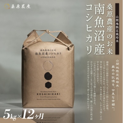 【毎月定期便】桑原農産 山間地限定米 南魚沼産こしひかり5kg全12回