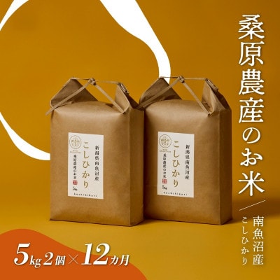 【毎月定期便】桑原農産 山間地限定米 南魚沼産こしひかり5kg×2全12回