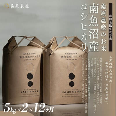【毎月定期便】桑原農産 山間地限定米 南魚沼産こしひかり5kg×2全12回