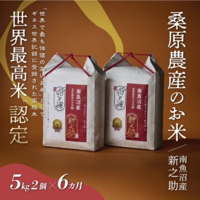 【毎月定期便】ギネス世界記録「世界最高米」認定 最高級南魚沼産新之助5kg×2 桑原農産のお米全6回
