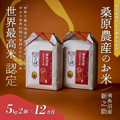 【毎月定期便】ギネス世界記録「世界最高米」認定 最高級南魚沼産新之助5kg×2袋桑原農産の米全12回