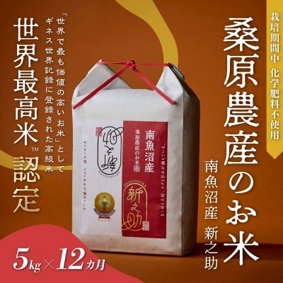 【毎月定期便】ギネス世界記録「世界最高米」認定 最高級南魚沼産新之助5kg 桑原農産のお米全12回
