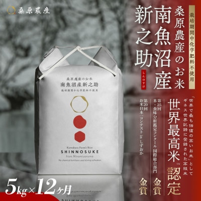 【毎月定期便】ギネス世界記録「世界最高米」認定 最高級南魚沼産新之助5kg 桑原農産のお米全12回