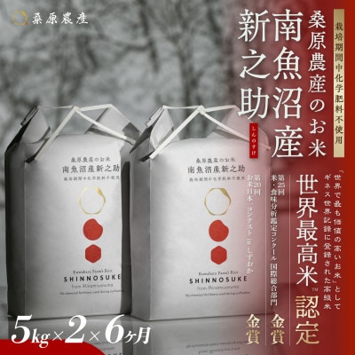【発送月固定定期便】ギネス世界記録「世界最高米」認定 最高級南魚沼産新之助5kg×2 (精米)全6回