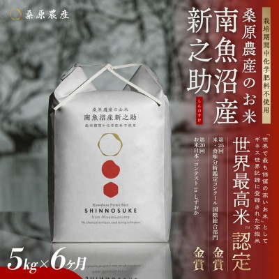 【発送月固定定期便】ギネス世界記録「世界最高米」認定 最高級南魚沼産新之助5kg (精米)全6回
