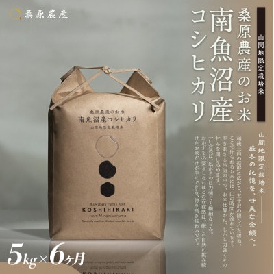 【発送月固定定期便】桑原農産 山間地限定米 南魚沼産こしひかり5kg全6回