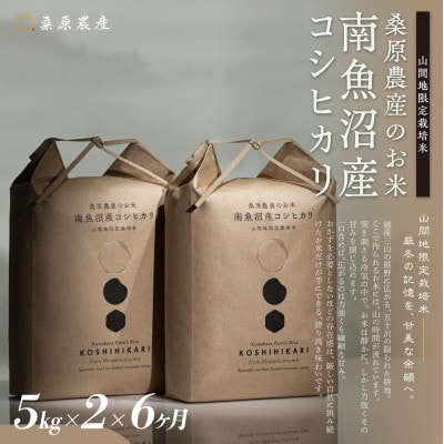 【発送月固定定期便】桑原農産 山間地限定米 南魚沼産こしひかり5kg×2全6回