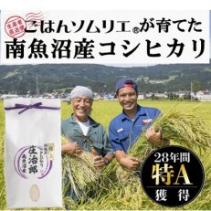 【新米】令和5年産 10kg ごはんソムリエの南魚沼産コシヒカリ『庄治郎』100%塩沢産