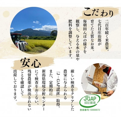 【新米予約】令和7年産 5kg ごはんソムリエの南魚沼産コシヒカリ精米『庄治郎』 農家直送