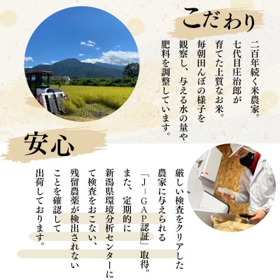 令和8年産 10kg ごはんソムリエの南魚沼産コシヒカリ精米『庄治郎』 農家直送