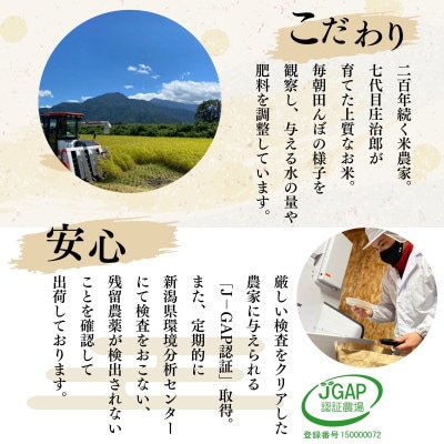 【毎月定期便】精米5kg　ごはんソムリエの南魚沼産コシヒカリ　100%塩沢産全12回