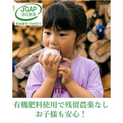 2022年5月発送開始『定期便』ごはんソムリエの南魚沼塩沢産コシヒカリ『庄治郎』10kg　全6回