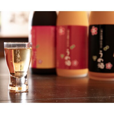 八海山の原酒で仕込んだ「うめ酒」一升瓶(1800ml)