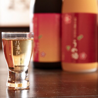 八海山の焼酎で仕込んだ「うめ酒」一升瓶(1800ml)