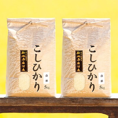 「2020年5月下旬発送」南魚沼産コシヒカリ(白米)【5kg×2袋】