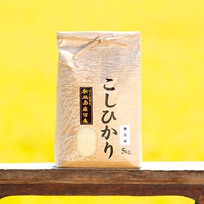 【2022年2月上旬発送】【令和3年産】南魚沼産こしひかり(無洗米)【5kg】