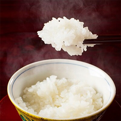 【2022年2月上旬発送】【令和3年産】南魚沼産こしひかり(無洗米)【5kg】