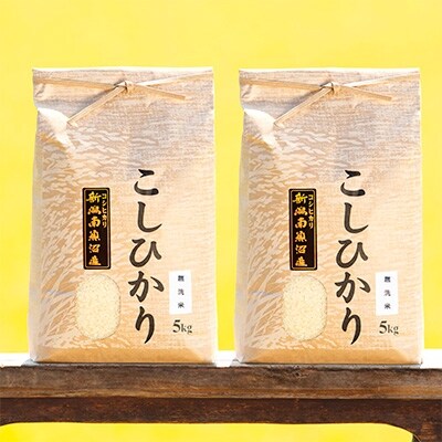 「2021年2月上旬発送」【令和2年産】南魚沼産コシヒカリ(無洗米)【5kg×2袋】