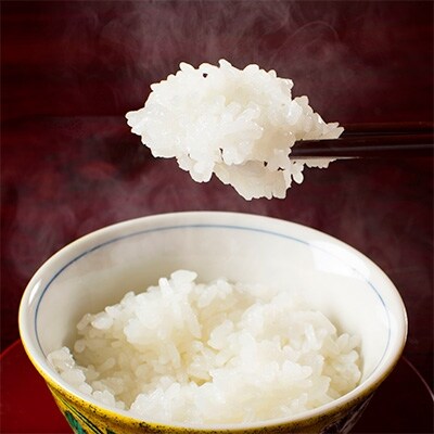 「2021年2月上旬発送」【令和2年産】南魚沼産コシヒカリ(無洗米)【5kg×2袋】