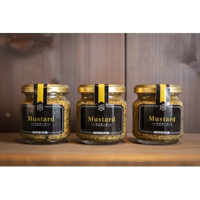 鈴木農場の和からし マスタード　100g×3個