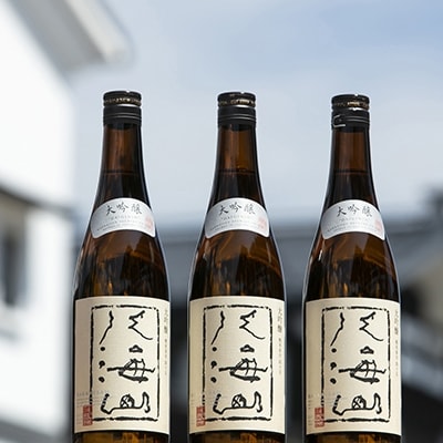 越後の名酒「八海山」大吟醸【四合瓶720ml×3本】