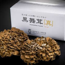 大平きのこ研究所の大黒舞茸「真」1kg