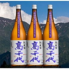 【新潟県内限定】高千代 純米酒 火入れ 紫 Pasteurized sake 1800ml×3本