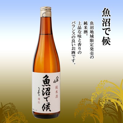 【2023年3月中旬発送】八海山 地域限定 2選 飲み比べ 魚沼で候 雪室貯蔵三年 各720ml