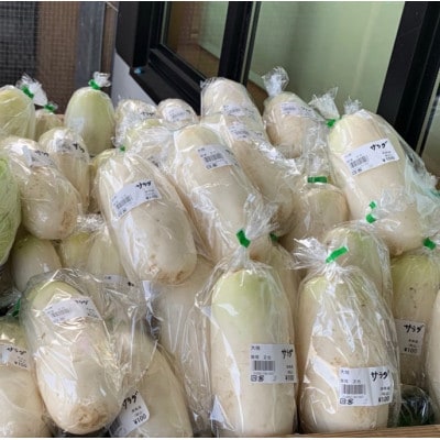 【飯塚農場の雪室貯蔵】【訳あり】にんじん・サラダ大根セット 計8kg