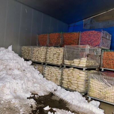 【飯塚農場の雪室貯蔵】【訳あり】にんじん・サラダ大根セット 計8kg